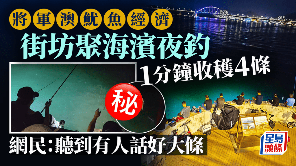 將軍澳魷魚經濟 街坊聚海濱夜釣 1分鐘收穫4條 網民：聽到有人話好大條