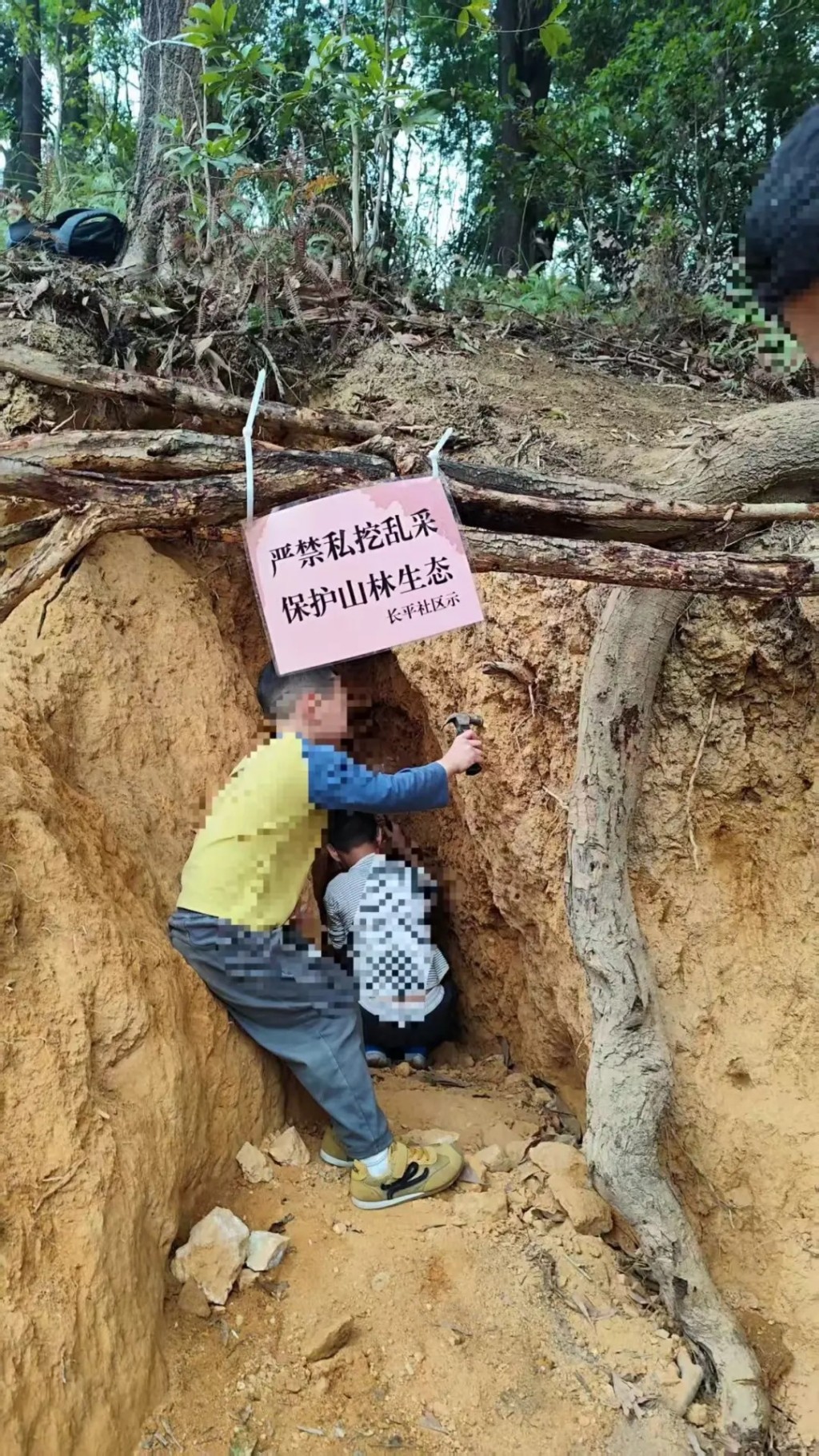 广州暹岗大山遭非法开挖水晶致环境大受破坏。小红书@雷风