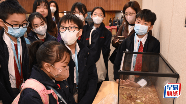 嶺南大學舉辦的「做個大學生」體驗活動,安排學生參與塑膠分類、廚餘處理及生物多樣性等不同學習班。嶺大提供