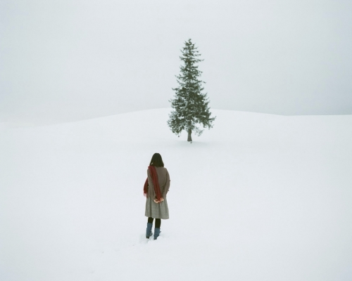 有港人摄影师涉嫌擅闯私人农地拍照。Facebook专页幸福照相馆图片