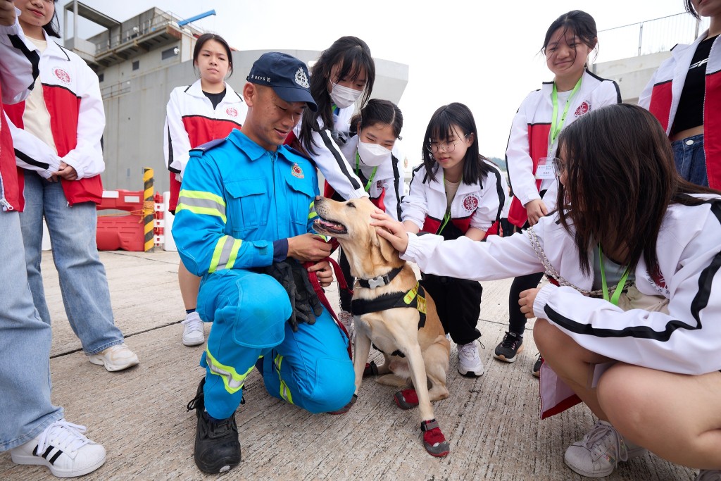 學員與火警調查犬隻互動。香港律師會facebook圖片