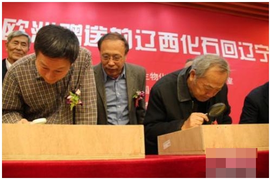 专家现场鉴定其余3件带羽毛恐龙化石。网图