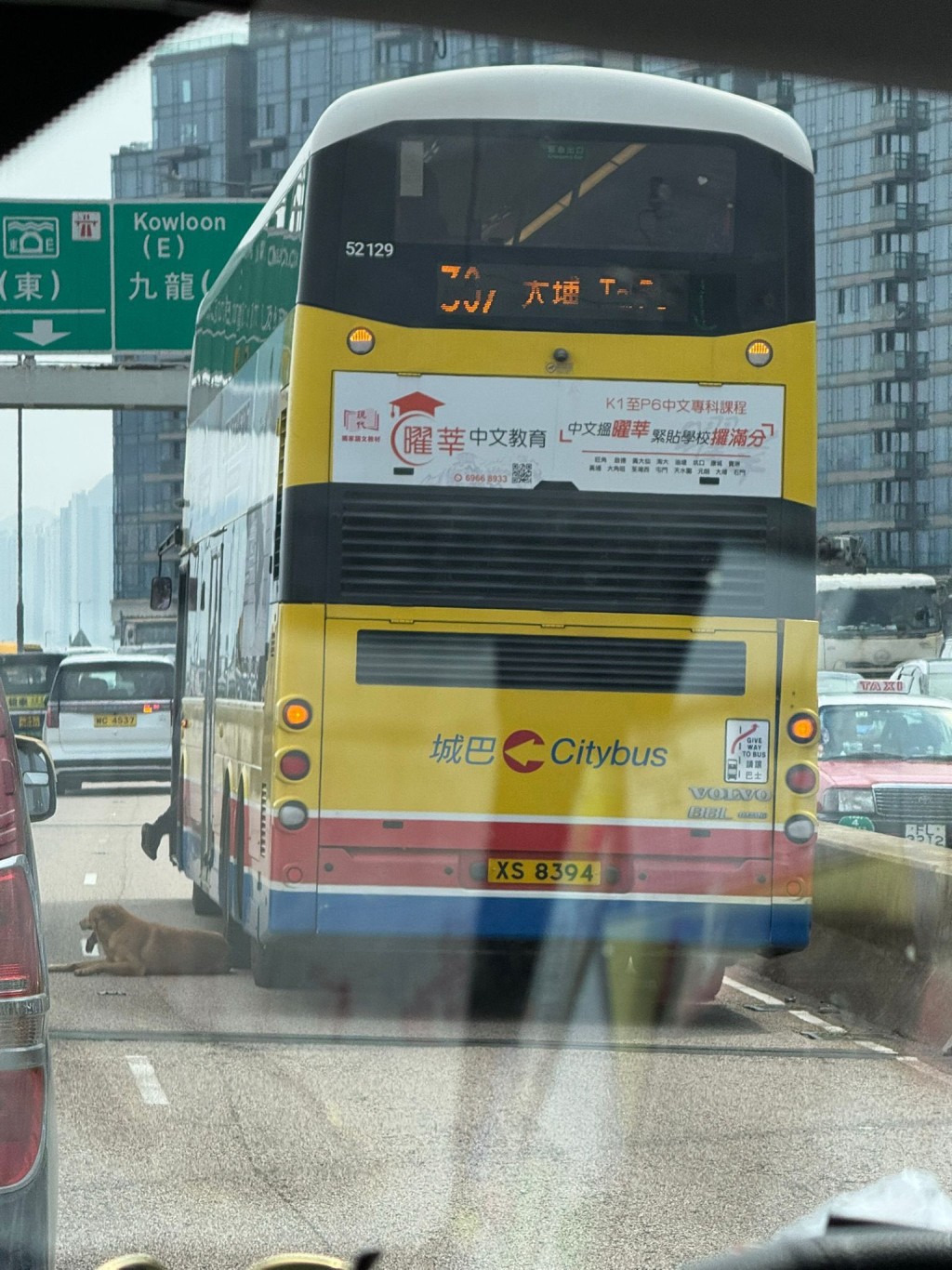 狗狗悠閒地坐在一部巴士旁。fb馬路的事 (即時交通資訊台) Bosco Chu圖片 