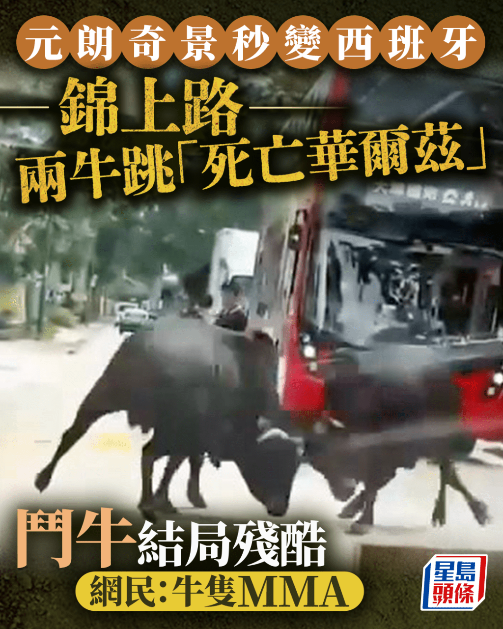 元朗奇景秒變西班牙 錦上路兩牛跳「死亡華爾茲」 鬥牛結局殘酷 網民:牛隻MMA|Juicy叮 元朗奇景秒變西班牙 錦上路兩牛跳「死亡華爾茲」 鬥牛結局殘酷 網民:牛隻MMA|Juicy叮