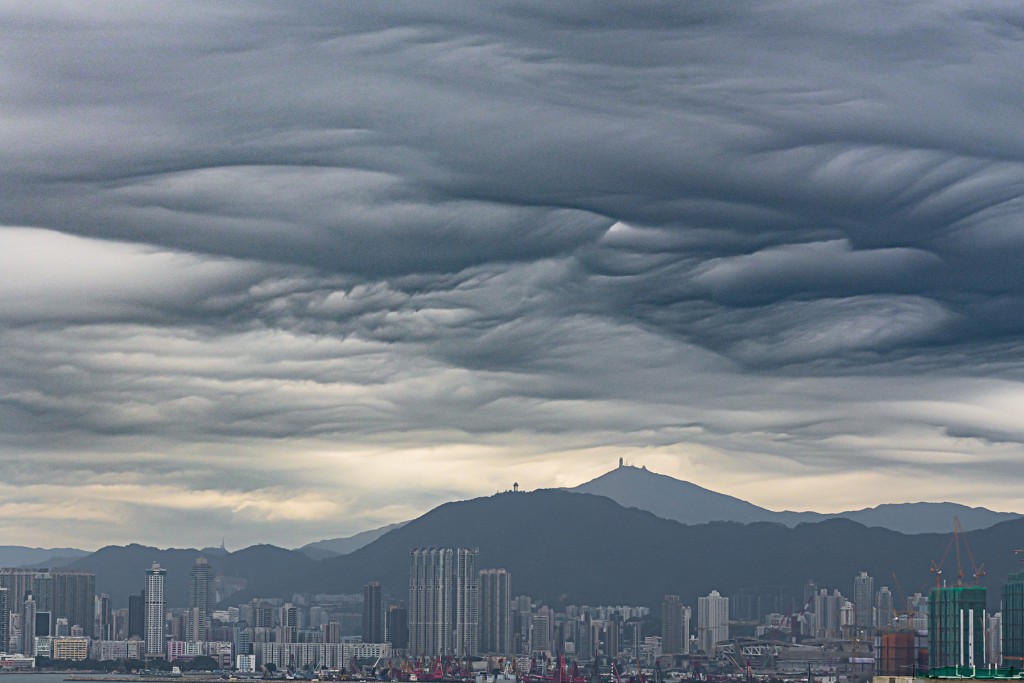 「糙面雲」。攝：Huey Pang / 西灣河望大帽山 / 2023年1月8日 / #CWOS