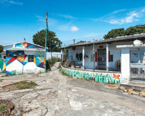 旅發局為推廣本地遊,於網上平台推薦新界東多個休憩地方。圖為坪輋壁畫村。