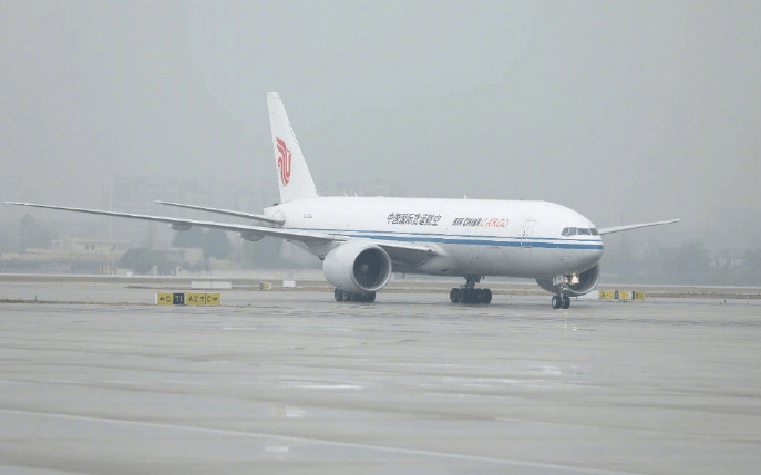 大熊貓「冰星」「花嘴巴」一家五口平安抵達成都雙流國際機場。新華社