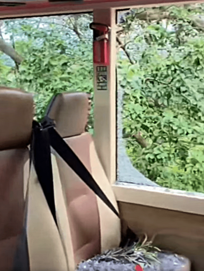 車廂一片玻璃碎片及樹葉。fb:突發馬路車cam大全