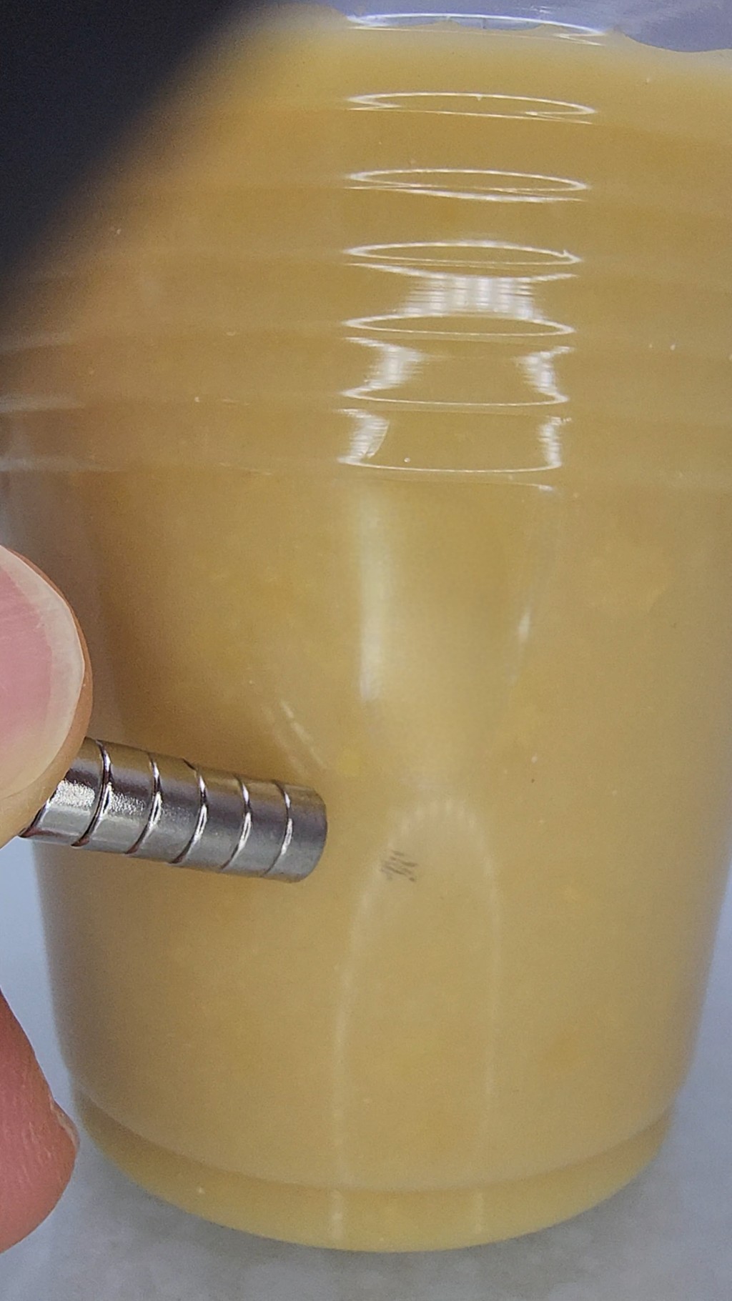 步驟2：將粟米片糊仔倒入膠杯內，用磁石在膠杯的表面旋轉，同時輕輕地攪拌粟米糊仔，慢慢你會發現小黑點跑出來了，而且會跟隨磁石移動。這些黑點就是人工添加的鐵質。（圖片來源：工程師媽媽）