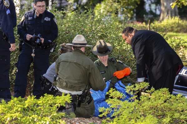 警方在中央公園調查發現熊屍的案件。美聯社