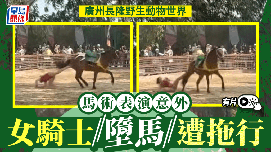 廣州長隆野生動物世界騎士劇場，疑似有馬匹受驚，有表演人員被拖行。