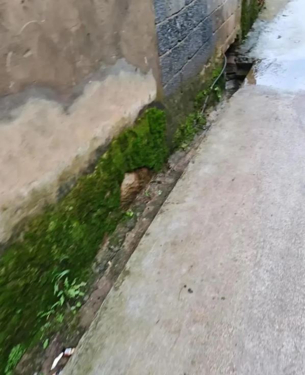 蒋某某将方某某抛尸路边。潇湘晨报