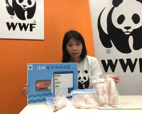 WWF高級項目陳悅珊