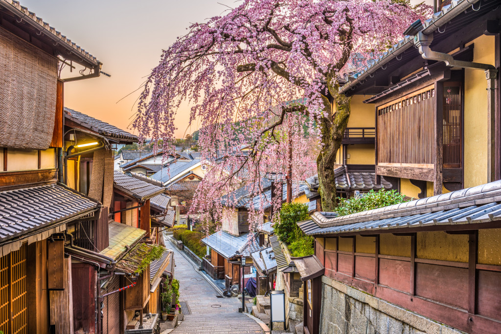 日本人看櫻花，不是看櫻花的開放，而是看其掉下來的剎那。