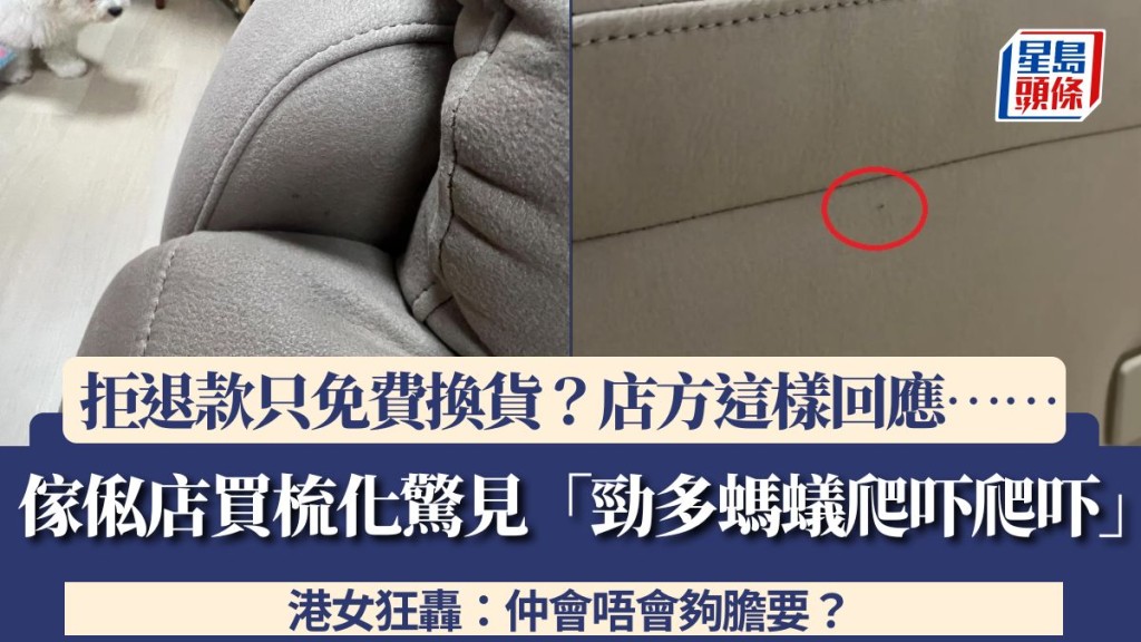 傢俬店買梳化驚見「勁多螞蟻爬吓爬吓」！店方拒退款只免費換貨 港女狂轟：仲會唔會夠膽要？店方這樣回應……