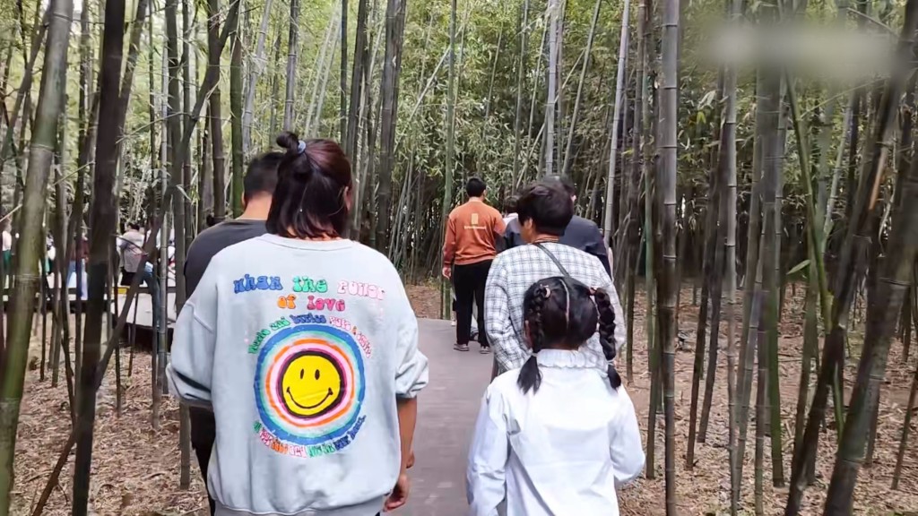 游客在「西张赶村」竹林游玩。