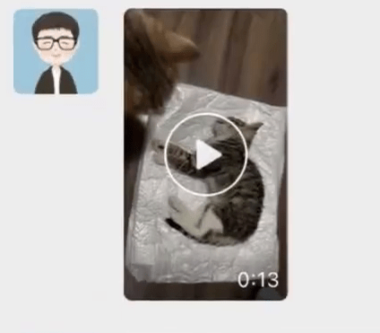 網傳老師領養貓後有虐貓行為，將死貓影片發給原主人。