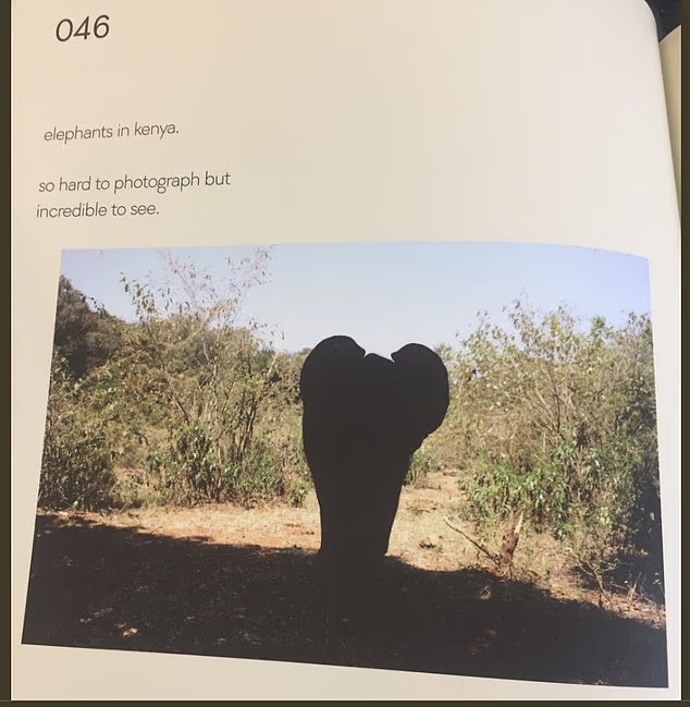 媒體重提他當年靠母親獲得為時尚名牌掌鏡，以及推出攝影集的黃金機會。