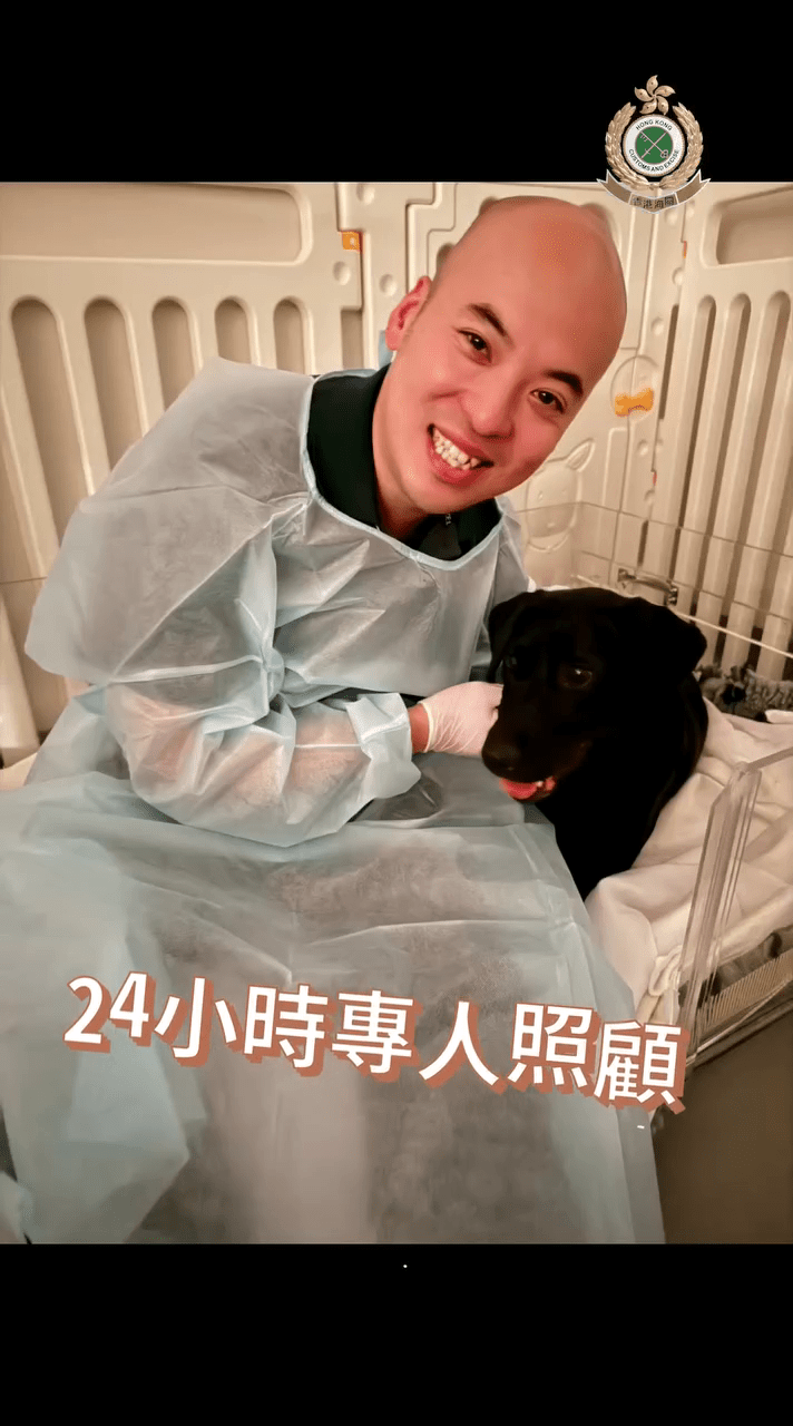 關員生產期間及之後，人員更全天候24小時悉心照顧媽媽與幼犬。