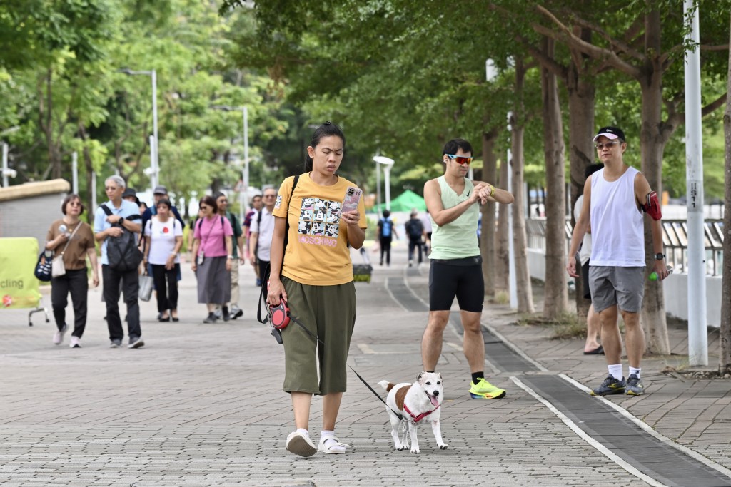 風力方面,11月18日吹北風4至5級,離岸間中6級,高地達7級。 風力方面,11月18日吹北風4至5級,離岸間中6級,高地達7級。