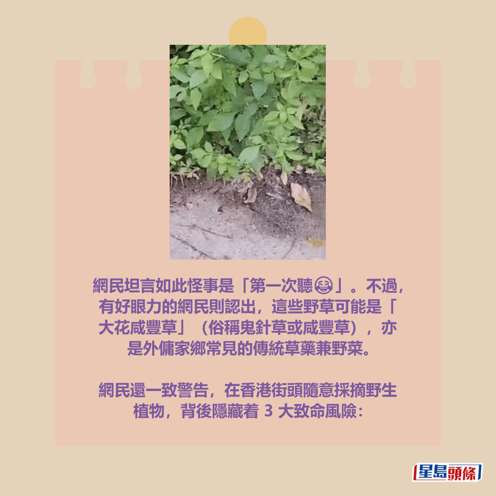 facebook截圖（資料來源：AuthenticCamel3991＠facebook聘請工人姐姐關注組）