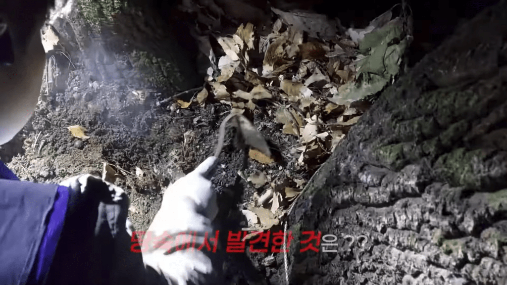 南韓執法人員從公園地下挖出冰毒。 Youtube / 大韓民國警察廳