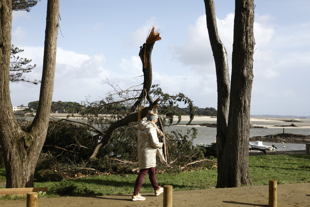 法国有树木受强风吹倒。美联社