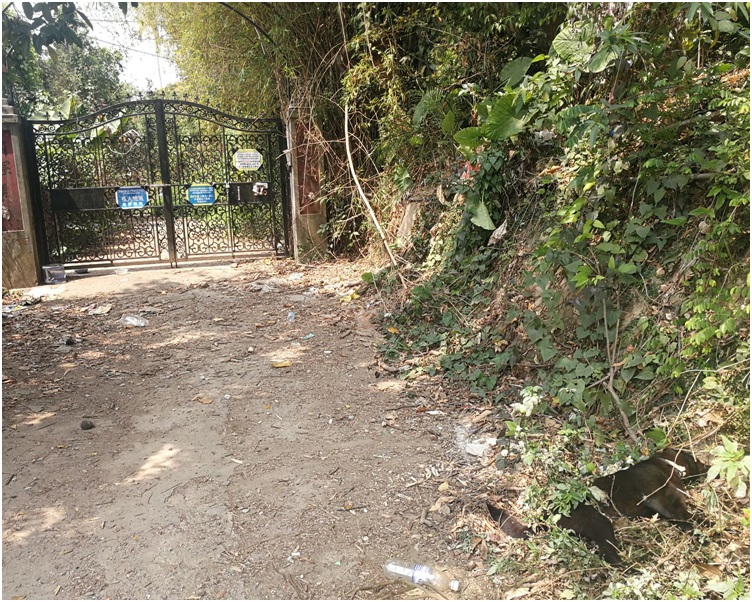 其中一頭黑色狗疑遭人毒死，倒斃在花園外。梁國峰攝