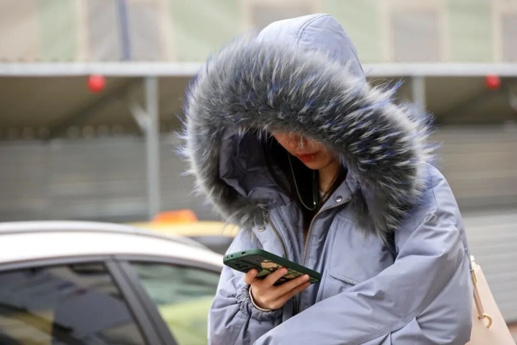 豬肉價格持續下跌，民眾減少買鴨鵝令羽絨材料價格大漲。河南日報