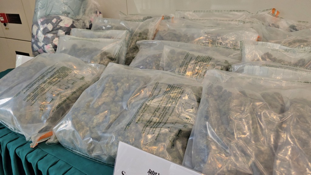 海關檢獲的大麻花約值720萬元。