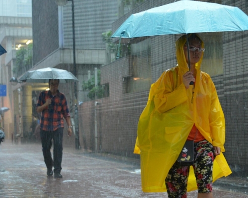黑雨期間本港普遍地區都錄得超過100毫米雨量。