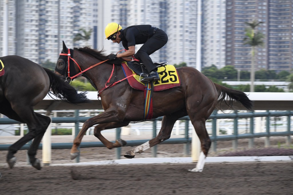 「勇晉當銳」出跳時候，沈集成舉鏡全神貫注督操，之後並第一時間趕番馬房等馬返來，緊張之情路人皆見。