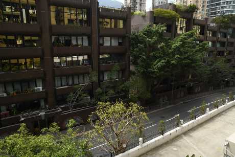 客廳外連露台，外望藍塘道兩旁樹景。