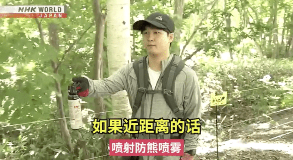 為應對日益嚴峻的熊患,NHK特別製作中文字幕的自保教學影片,教導市民及遊客在郊區或賞楓季出遊時如何應變。 為應對日益嚴峻的熊患,NHK特別製作中文字幕的自保教學影片,教導市民及遊客在郊區或賞楓季出遊時如何應變。