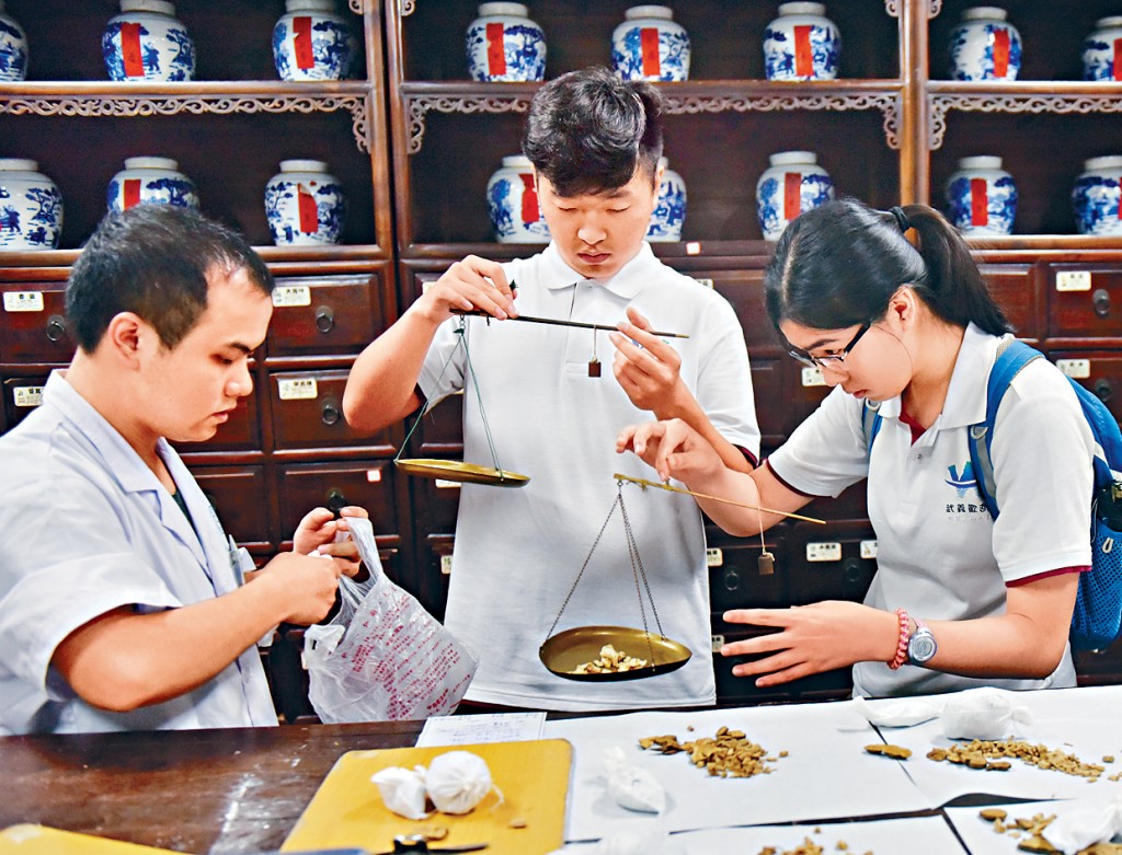 香港學生到內地了解中醫療法。