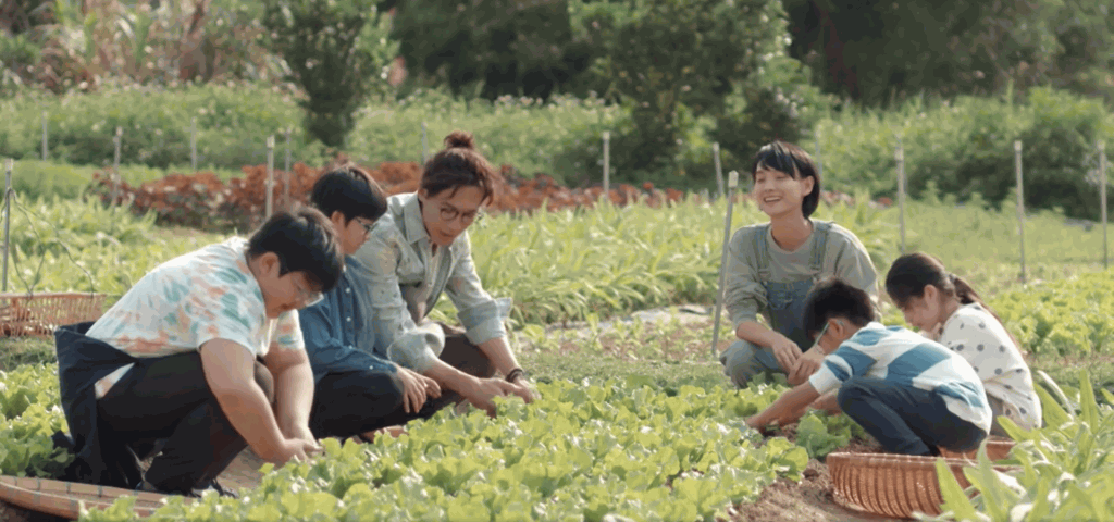 樓主指，眾人在場整茶果及參觀其他植物。（《野人老師》劇照）