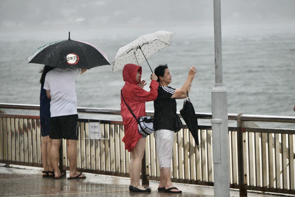 市民在岸边观浪。卢江球摄