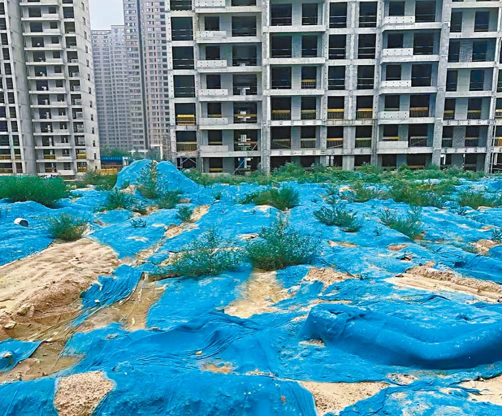 去年底，郑州永威金桥西棠项目已全面停工。