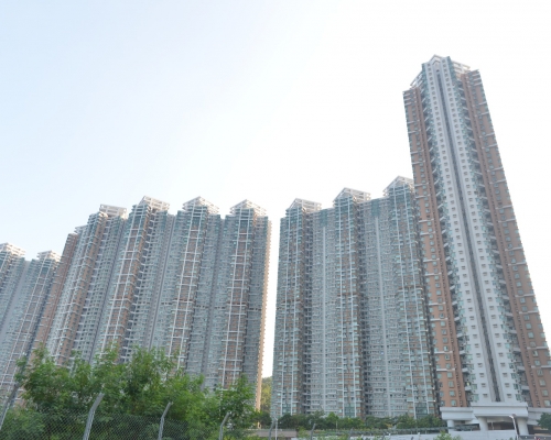 將軍澳維景灣畔。 資料圖片