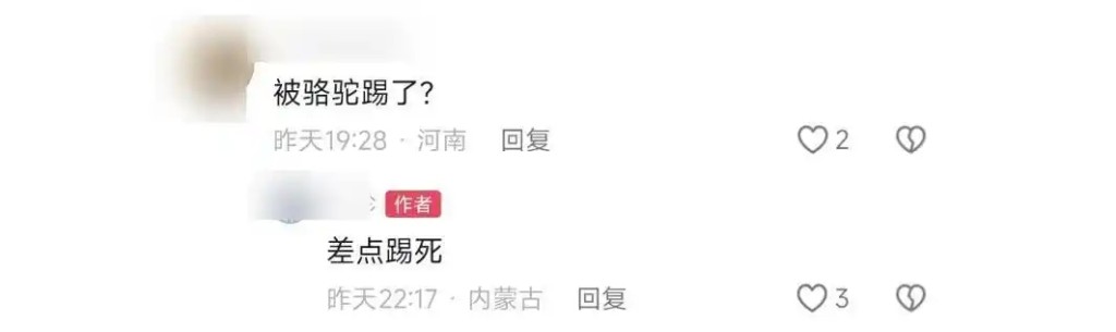 當事人發文回應:「大難不死,差點被踢死。」 當事人發文回應:「大難不死,差點被踢死。」