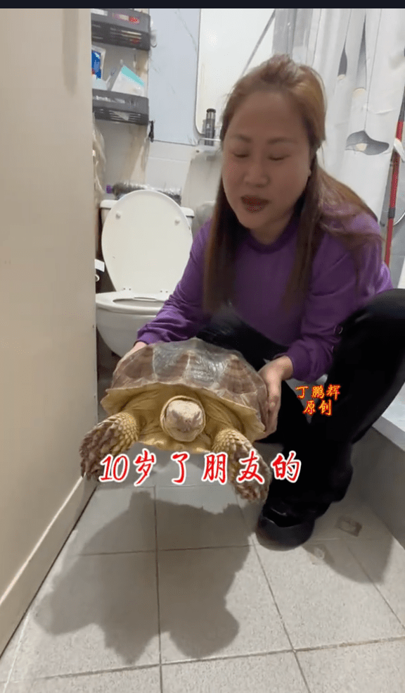 洗手間更有空間飼養一隻大烏龜