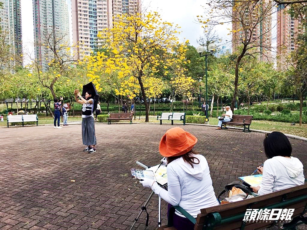 有市民即場寫生。鮑錦瑤攝