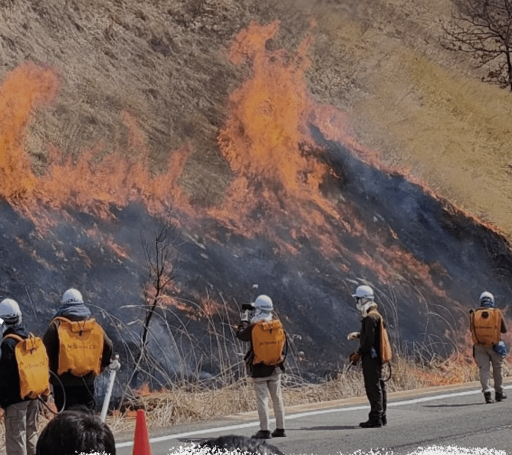 日本國家公園官網截圖