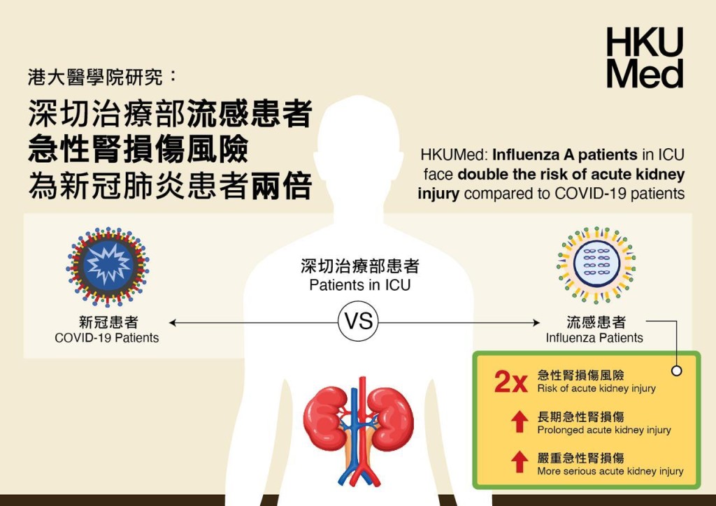 港大醫學院研究團隊發現，甲型流感重症患者發生急性腎損傷的風險較新冠患者高49%。