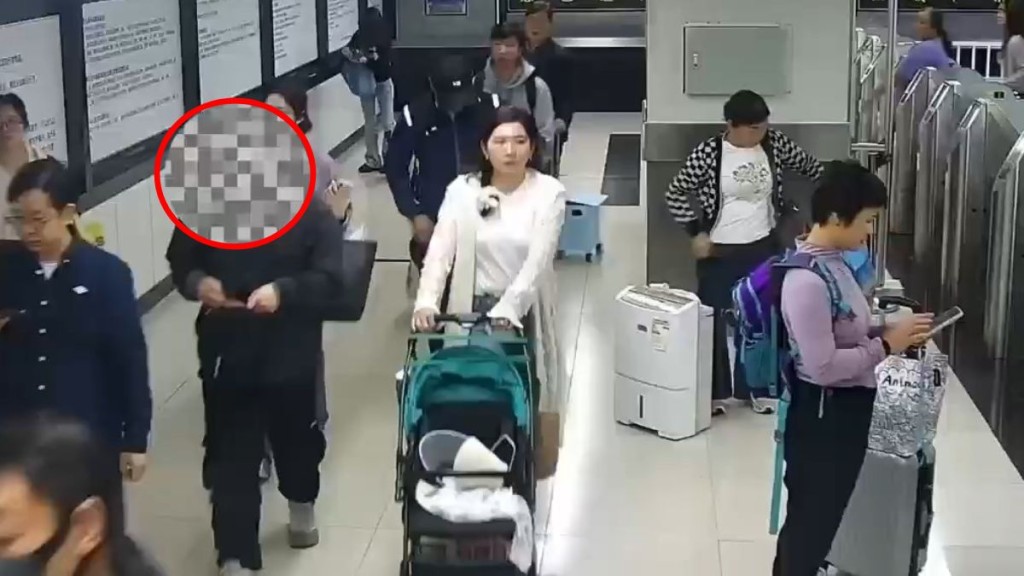 男子北上过关时，被揭发偷运活动球蟒。海关发布