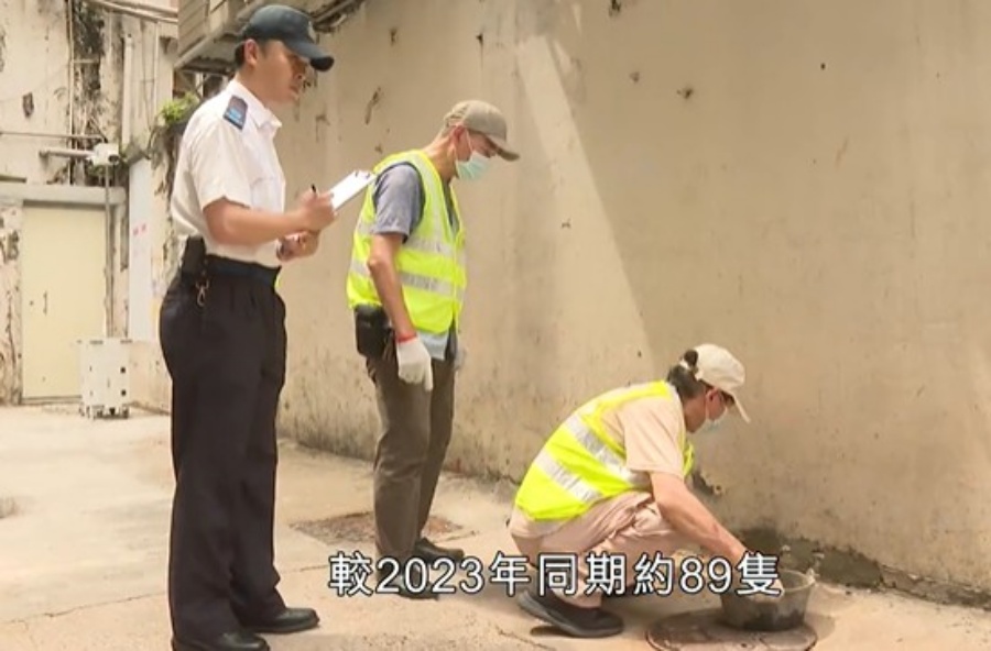 在荃灣鱟地坊後巷一帶,去年捕獲約270隻活鼠,較2023年同期約89隻,增加約兩倍。政府新聞處影片截圖 在荃灣鱟地坊後巷一帶,去年捕獲約270隻活鼠,較2023年同期約89隻,增加約兩倍。政府新聞處影片截圖