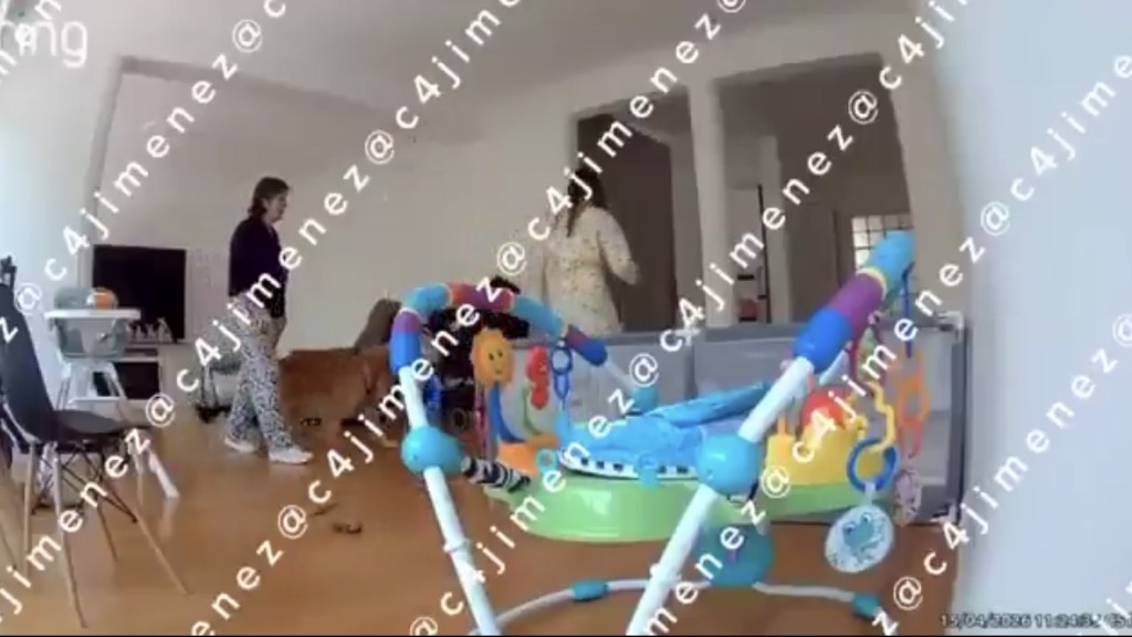 事发时死者与家姑穿越客厅。 网上影片截图