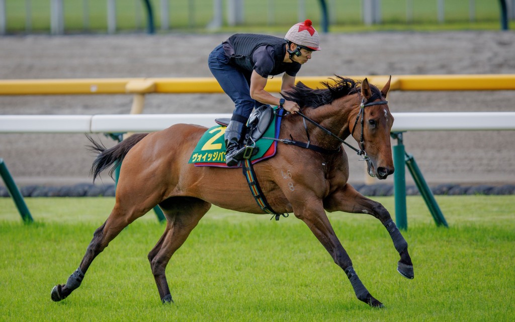 「遨遊氣泡」在東京競馬場輕舒步頭。
