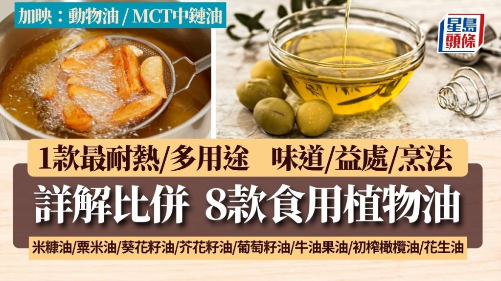 植物油比併 專家講解8款食油 1款最耐熱多煮法 2款忌高溫｜飲食知識