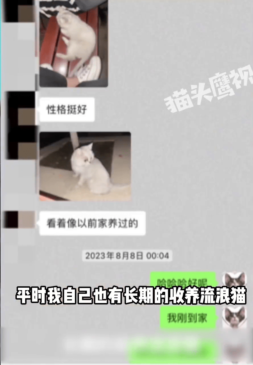 女網紅指自己平日有收養流浪貓，試圖「洗白」。